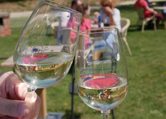 In - Balaton 19159 발라톤엘